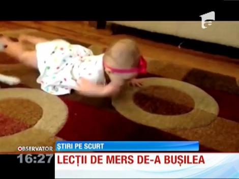 Un bebeluş primeşte lecţii de mers de-a buşilea de la un câine