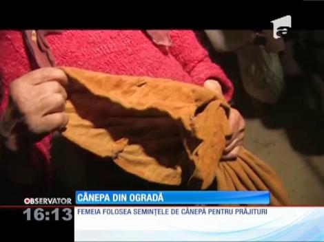 O bătrână din Botoşani s-a trezit cu dubele cu poliţişti la poartă pentru că şi-a umplut terenul cu cânepă