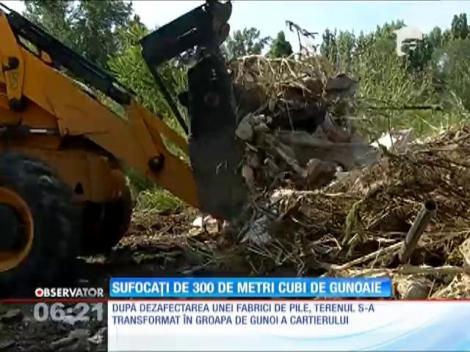 Coşmarul şobolanilor s-a terminat pentru elevii unei şcoli şi câţiva locatari din centrul Capitalei