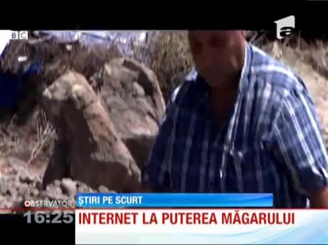 În Izmir, Turcia, internetul funcţionează la viteza măgarului