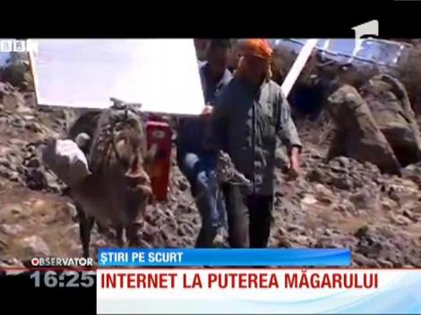 Măgarii au fost transformați în transportatori de energie solară, în Turcia