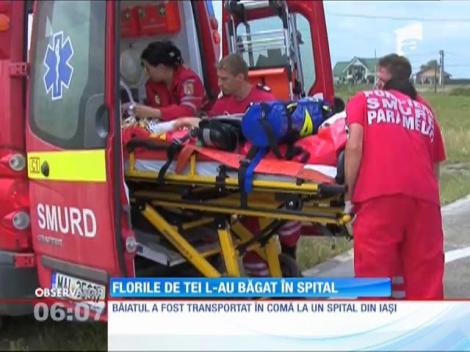 Un copil din judeţul Vaslui, în coma după ce a căzut dintr-un tei