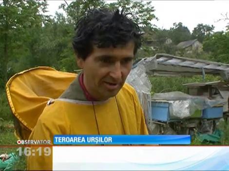 Un sat întreg din judeţul Buzău este terorizat de urşi