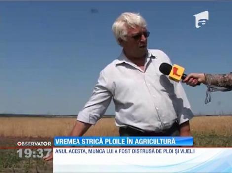 Vremea împarte România în două extreme!