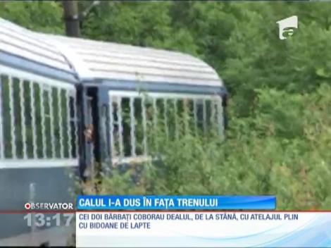 Calul l-a dus în faţa trenului