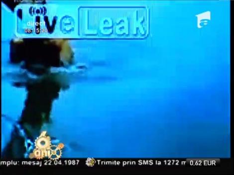 Smiley News: Cum să prinzi peşte cu excavatorul