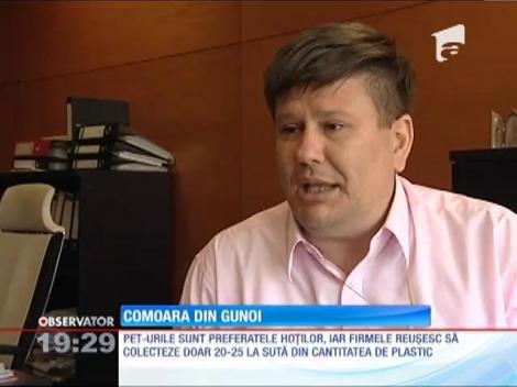 Hoţii deşeurilor au învăţat că pot face bani din colectarea selectivă