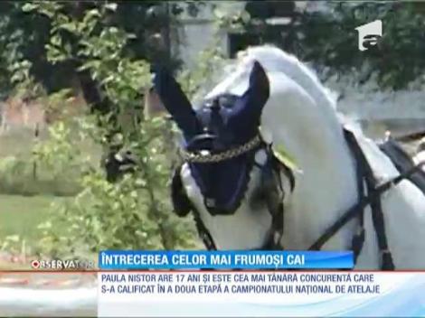 Întrecerea celor mai frumoși cai