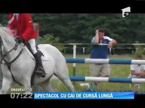 Spectacol cu cai la "Cupa Bucovinei"