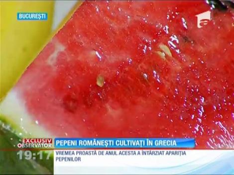 Piețele sunt pline cu pepeni din Grecia, dar vanduți ca și cum ar fi românești