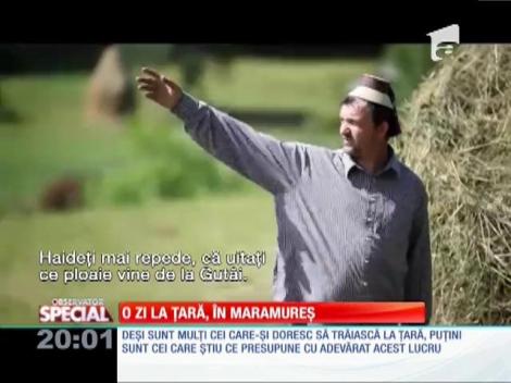 SPECIAL! O zi din viaţa de la ţară povestită de oamenii din Maramureș