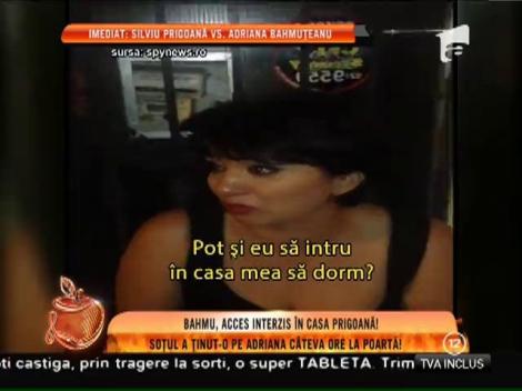 Adriana Bahmuțeanu, acces interzis în casa Prigoană!