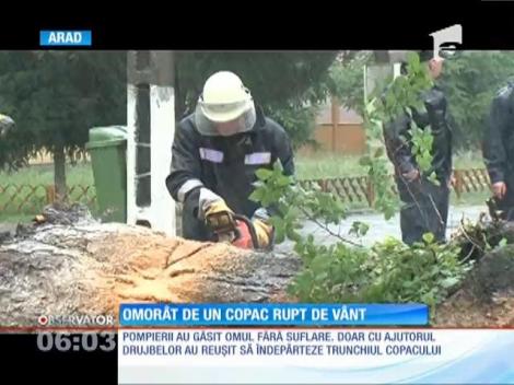 Furtuna violentă în Arad! Un bărbat a murit strivit de un copac