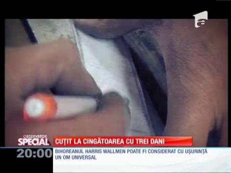 SPECIAL! Harris Wallmen, un om cu multe talente