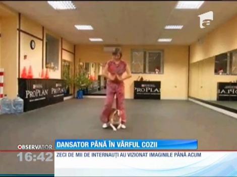 Câinele care dansează pe muzică indiană