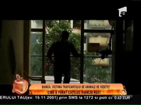 Bianca Rus: ”Cățelușa mea avea gastrită la stomac!”