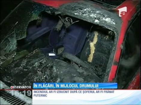 Pepeni de Dăbuleni "made in Grecia"