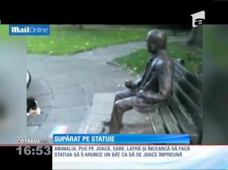 Câinele care a confundat o statuie cu un om