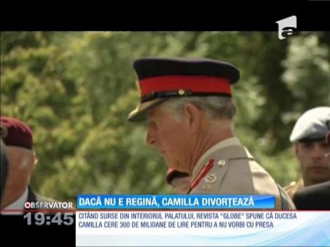 Prinţul Charles şi Camilla vor divorța