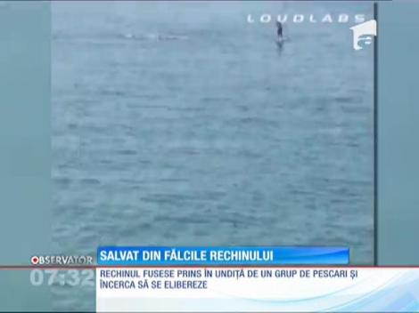 Salvat la limită din fălcile rechinului: Un bărbat a fost muşcat de un monstru alb!