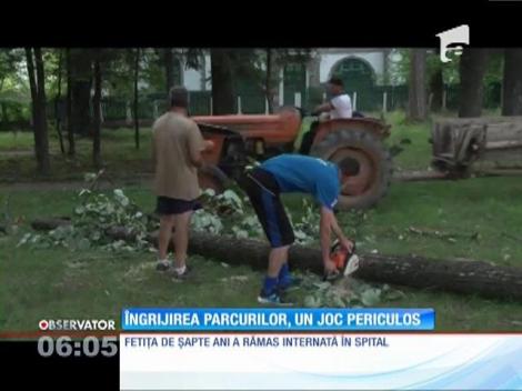 Două fetiţe de 7 şi 8 ani, rănite de creanga unui copac