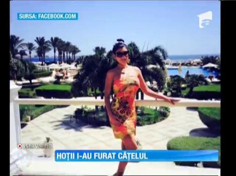 Andreea Tonciu a rămas fără căţel: Preţiosul ei Bijoux a fost furat