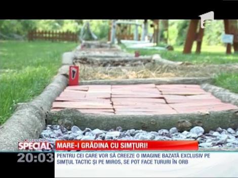 Grădina Botanică din Galaţi