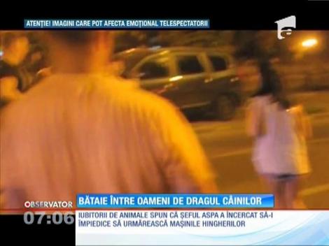 Bătaie între oameni de dragul câinilor