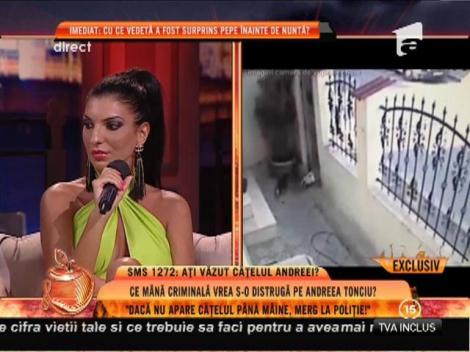 Andreea Tonciu: "Ofer 500 de euro recompensă celui care îmi aduce căţelul"