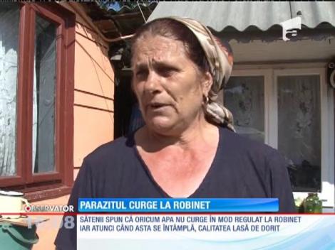 Revoltă într-un sat din Vrancea, după ce un parazit de 20 de centimetri a fost găsit în apa de la robinet!