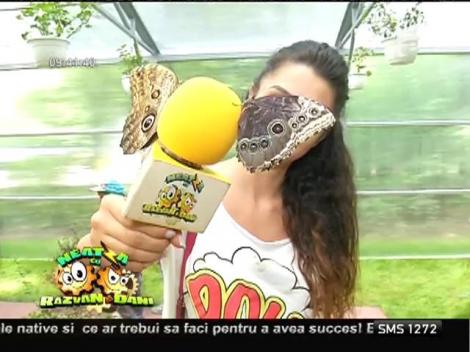 Spectacol de culoare la Muzeul Antipa: Mii de fluturi tropicali au fost expuşi în cadrul unui eveniment inedit!