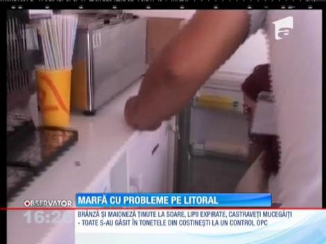 Protecţia Consumatorului a luat la puricat shaormeriile din Costineşti