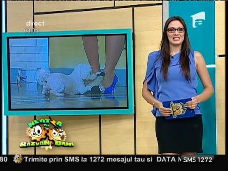 Horoscopul Zilei 11/07/2014