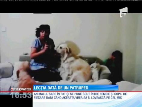 Lecţia dată de un patruped