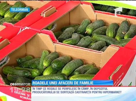 Mircea Bujor, agricultor de succes!