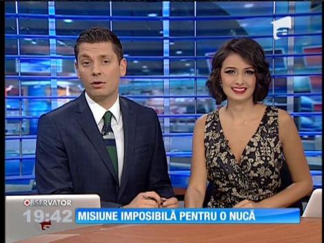 Cea mai agilă veveriţă din lume