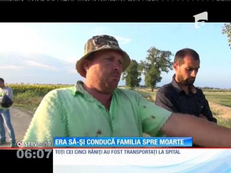 O familie care se întorcea de la o înmormântare a trecut pe lângă moarte pe o şosea din Brăila