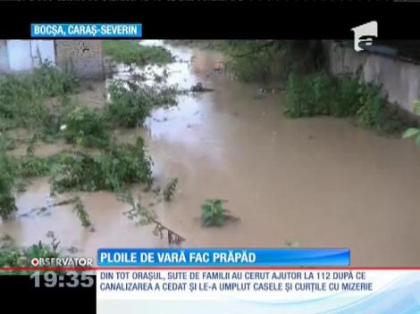 Ploile torenţiale fac prăpăd în Banat