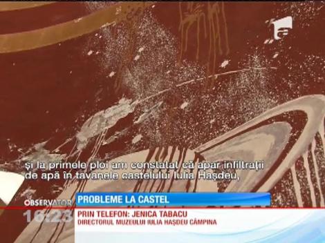 Probleme la Castelul Iulia Hasdeu din Câmpina