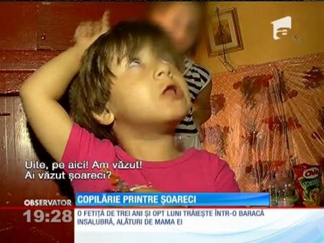 Copilărie printre șoareci