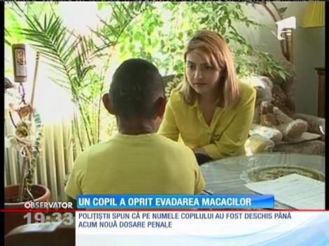 Un copil a oprit evadarea macacilor de la Zoo