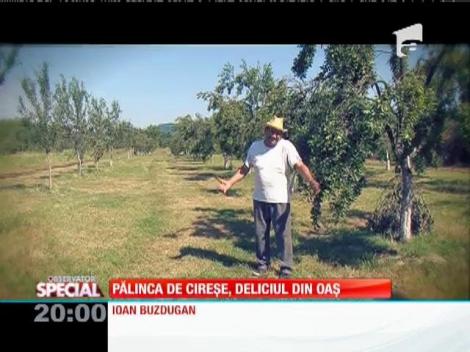 Special! Pălinca de cireșe, deliciul din Oaș