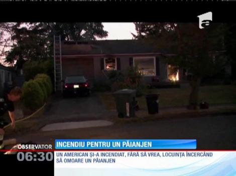 Un american şi-a incendiat involuntar locuinţa din cauza unui păianjen