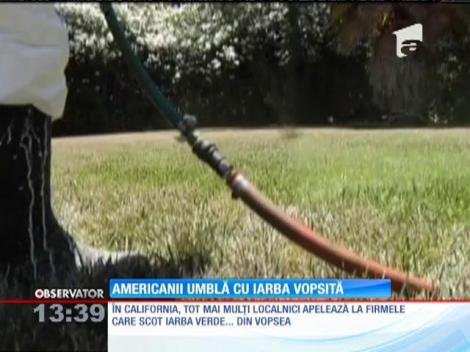 Americanii umblă cu iarba vopsită