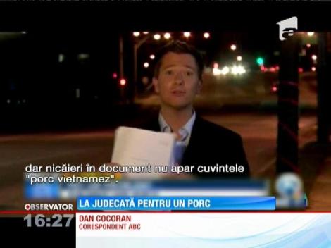 Un purcel de companie a provocat o dispută de amploare între stăpânii lui şi asociaţia de proprietari