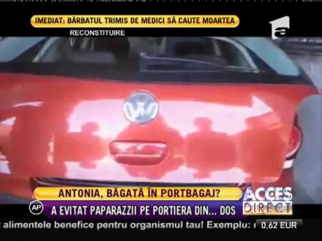 Antonia s-a băgat în portbagaj să evite presa