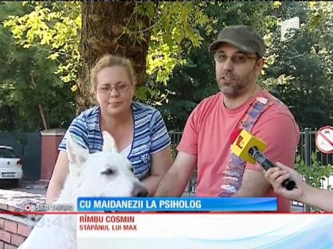 Cu maidanezii la psiholog