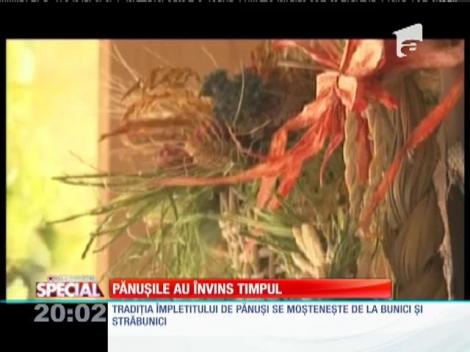 SPECIAL! Pănușile au &icirc;nvins timpul