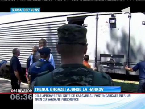 Cutiile negre ale avionului căzut în Ucraina au ajuns în mâinile oficialilor malaezieni