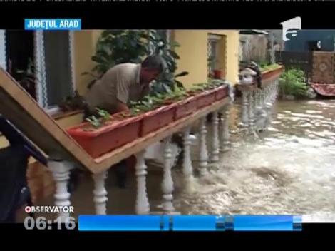Zeci de gospodării au fost inundate în Arad